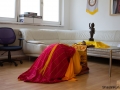 Buddhageburtstag2014-6