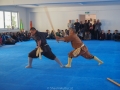 chinesisches Neujahr 2015 (48)