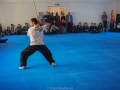 chinesisches Neujahr 2015 (53)