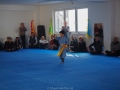 chinesisches Neujahr 2015 (54)