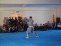 chinesisches Neujahr 2015 (58)