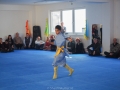 chinesisches Neujahr 2015 (60)