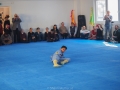 chinesisches Neujahr 2015 (62)
