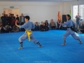 chinesisches Neujahr 2015 (63)