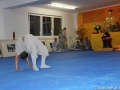 Shaolin Kultur Woche Wien 2012 35