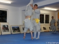 Shaolin Kultur Woche Wien 2012 39
