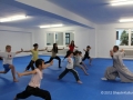 Shaolin Kung Fu Kinder 3