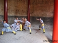 shi-yan-liang-9