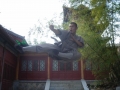 shi-yan-xu-49